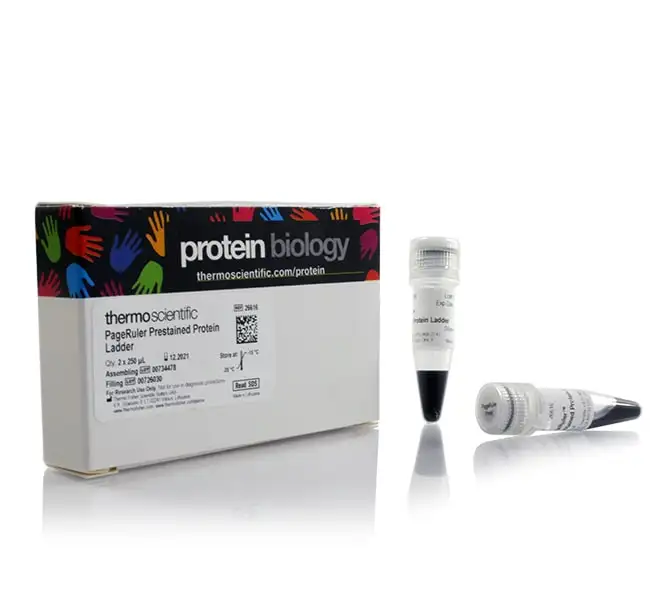 IMMUNO-TEK™ Human IgA ELISA 检测试剂盒